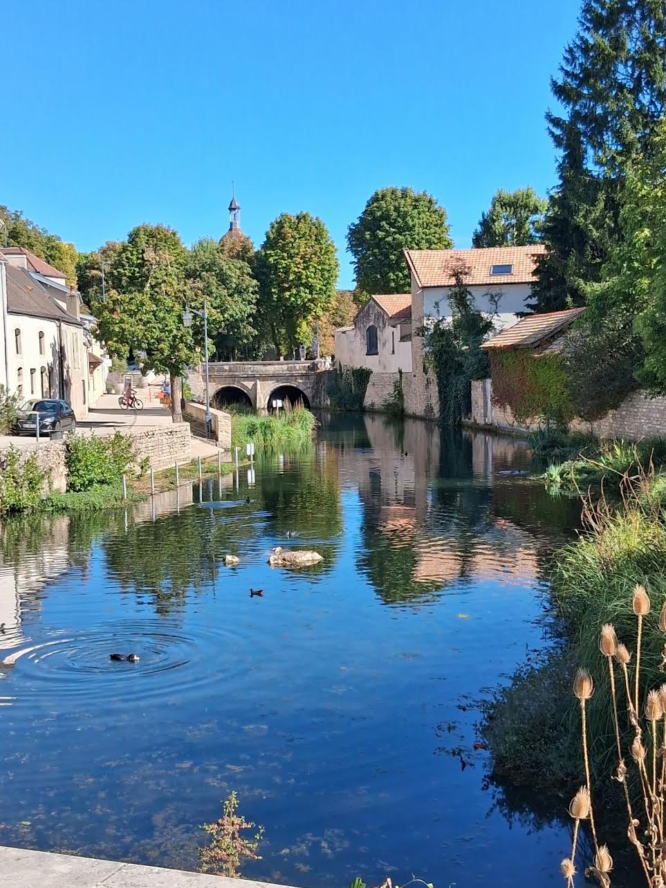 Beaune Lynne McDonald