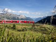 Bernina Express Train - Rail tour in Switzerland