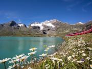 Bernina Express - Travel by train in Switzerland