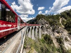 From the Glaciers to the Palm Trees (2 swiss panoramic trains)
