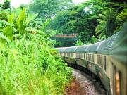 Eastern & Oriental Express - train in rain forest - Malaysia