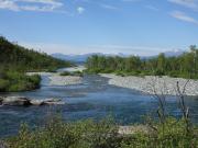 Le parc d'Abisko en été, Suède