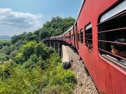 Inde - Train local Rajasthan