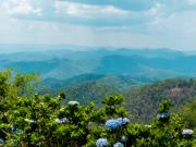 Blue Jasmine Thaïlande - Pique nique dans les montagnes
