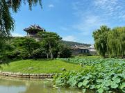 Suwon ©Unsplash