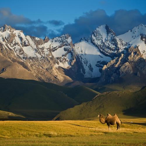 Voyage en train au Kirghizistan
