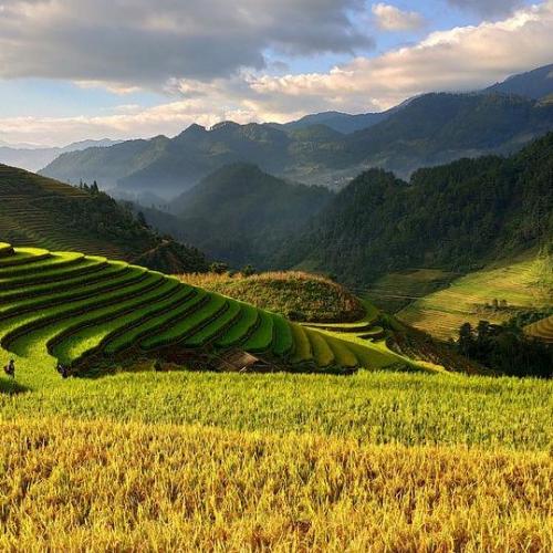 Voyager en train au Vietnam