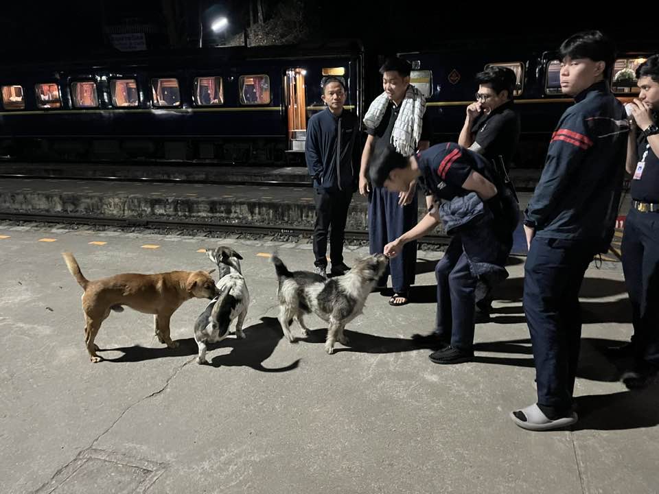 Chiens 2 Khun Tan Blue Jasmine Discovery Trains